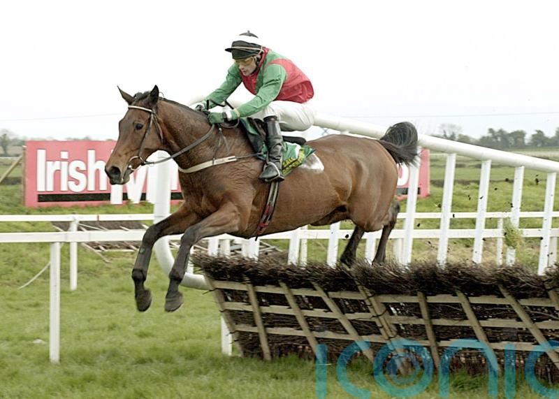 Hugely-popular Kilkenny hurdler Limestone Lad dies at the age of 32
