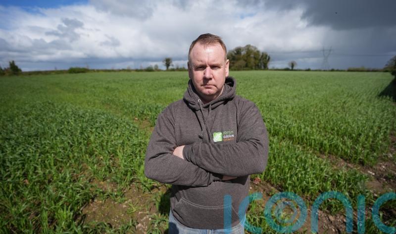 Tillage farmers worry about future after heavy rain and a ‘pear-shaped’ 2023