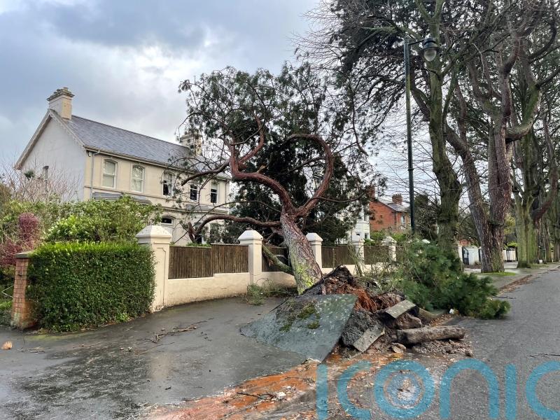 In pictures: Storm Eowyn’s 100mph winds cause disruption and destruction