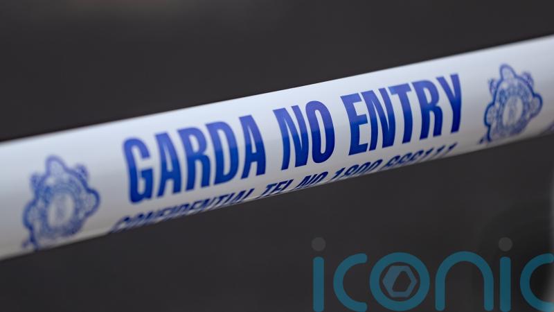 Man arrested after discharge of firearm in Co Leitrim