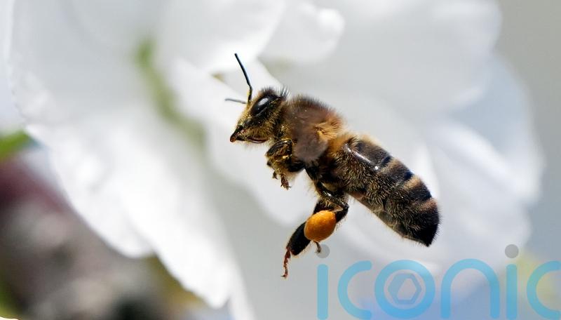 April was third-warmest on record since 1900 &ndash; Met Eireann