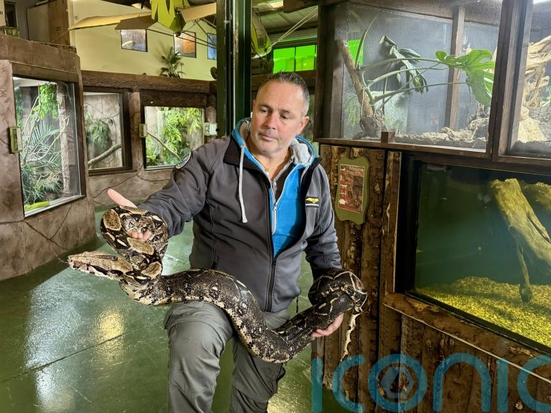Kilkenny reptile expert warns over &lsquo;surprising&rsquo; lack of regulation on exotic pets