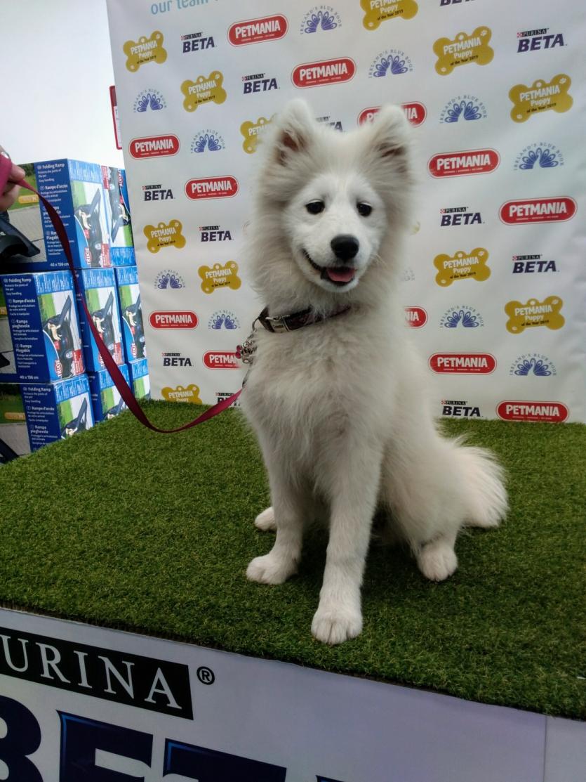 Bella