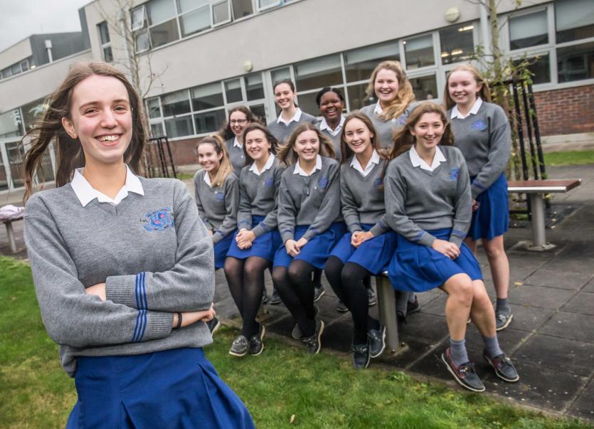 Fascinating Kilkenny projects set for Young Scientist challenge