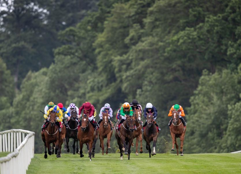 Kilkenny HorseRacing King Keane success at Gowran Park gives Lyons