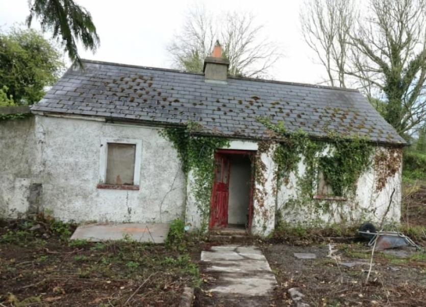 Project Property South Kilkenny cottage with valley views for €50k