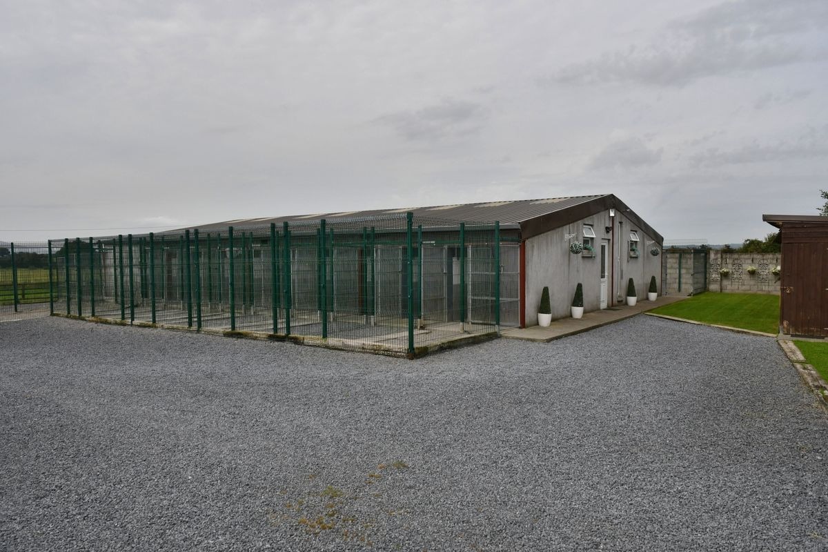 Boarding kennels and two dwellings for sale just 16 miles from Kilkenny