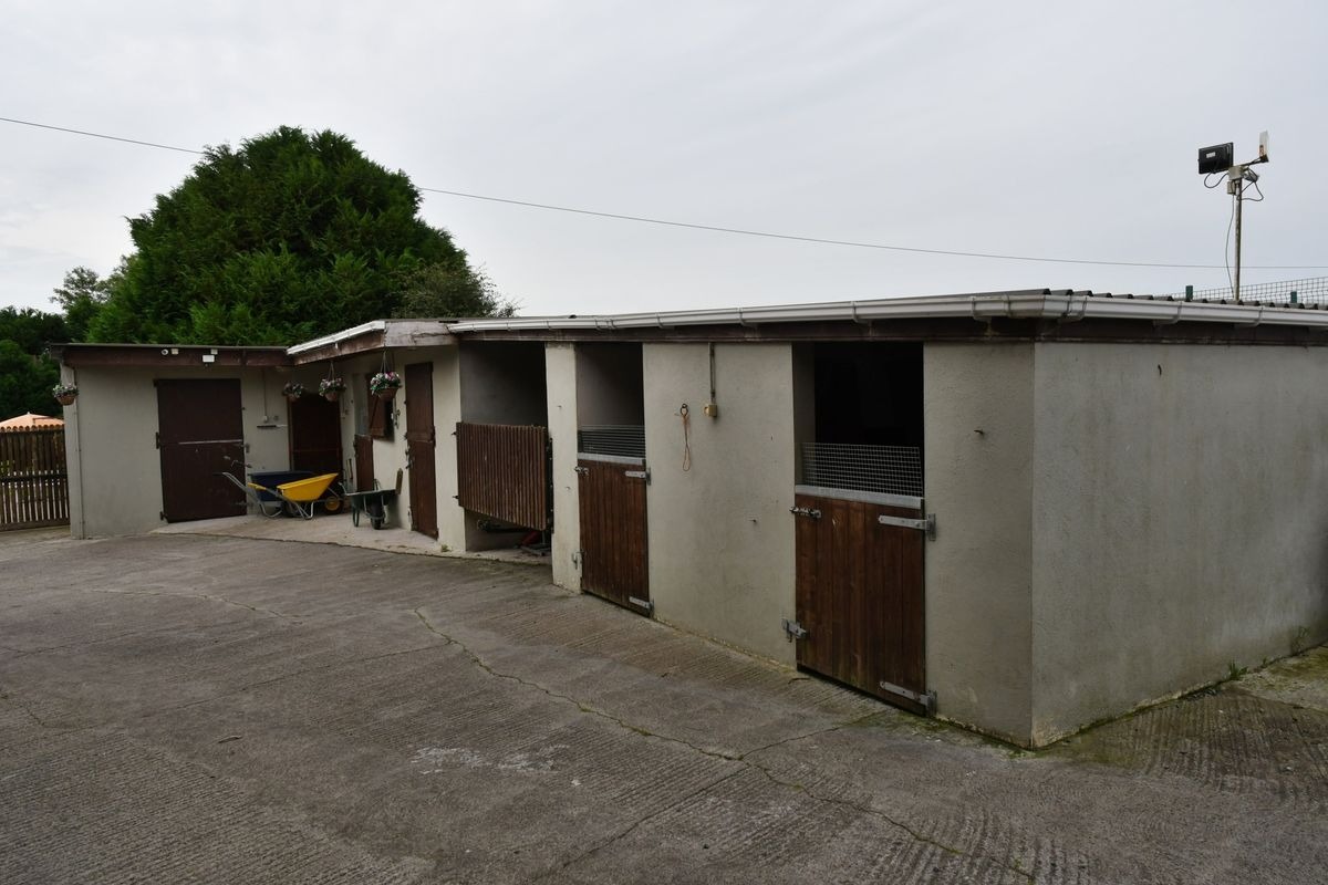 Boarding kennels and two dwellings for sale just 16 miles from Kilkenny