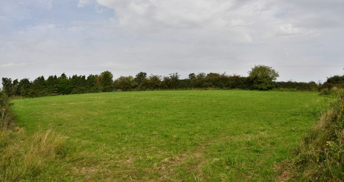 Boarding kennels and two dwellings for sale just 16 miles from Kilkenny