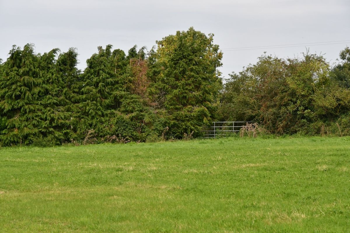 Boarding kennels and two dwellings for sale just 16 miles from Kilkenny