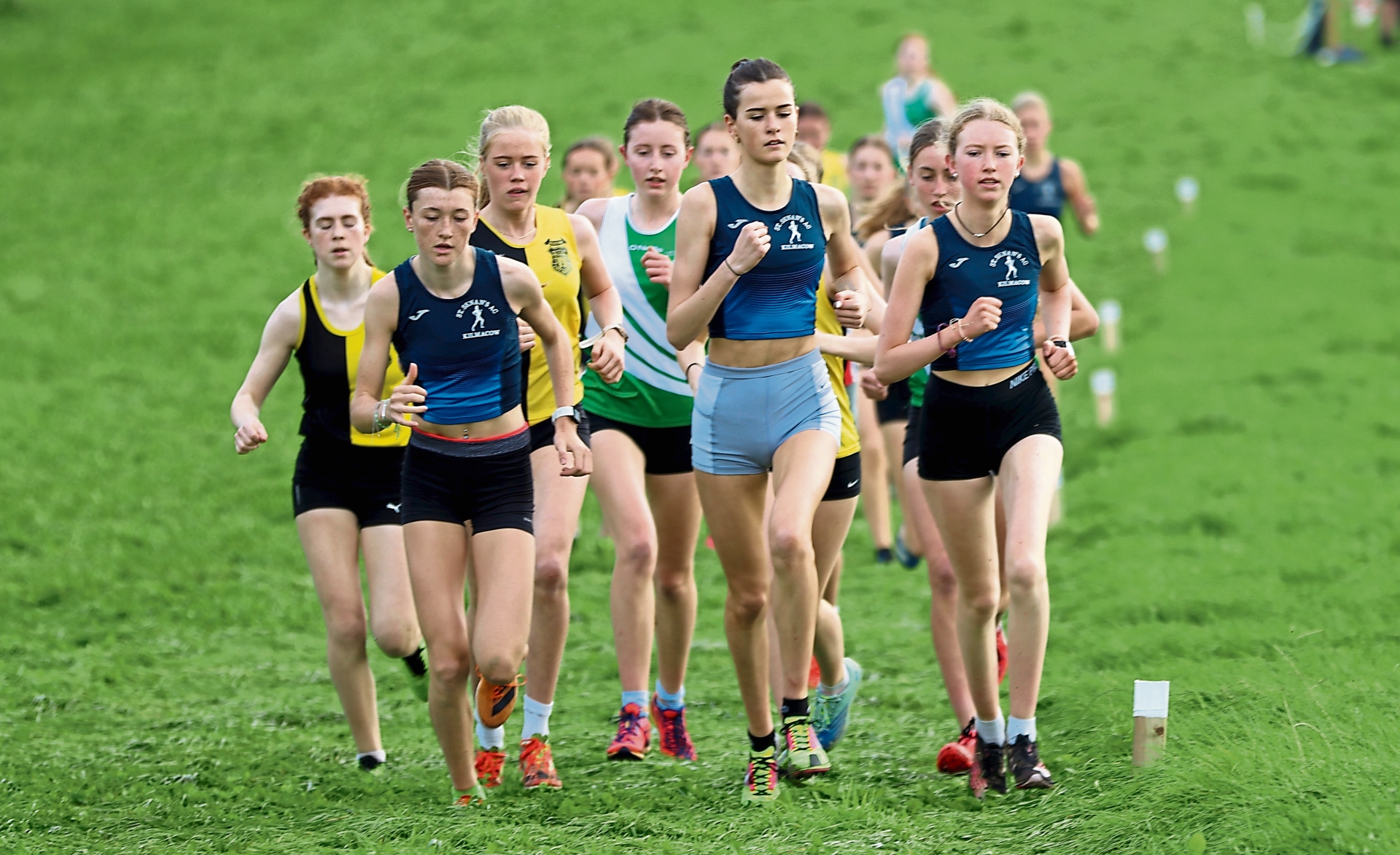 Everard and Dermody sweep to senior success Kilkenny Live