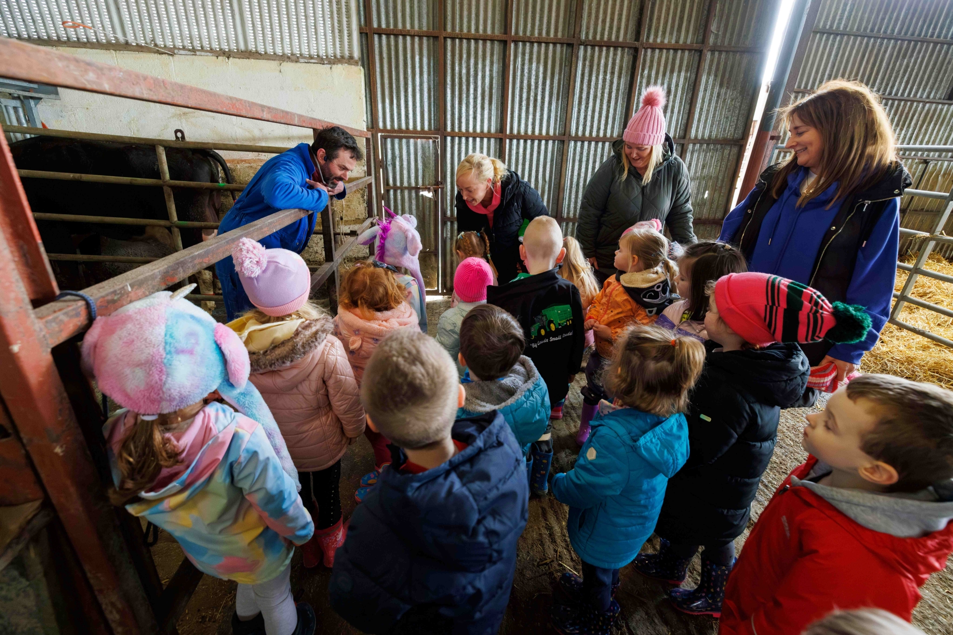 Preschool kids' day out on Kilkenny dairy farm - Page 1 of 3 - Kilkenny ...