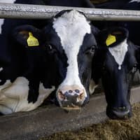 Kilkenny farmers paid more than €7 million in Eco Scheme