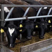 Kilkenny TD has good news for local farmers on fertiliser scheme